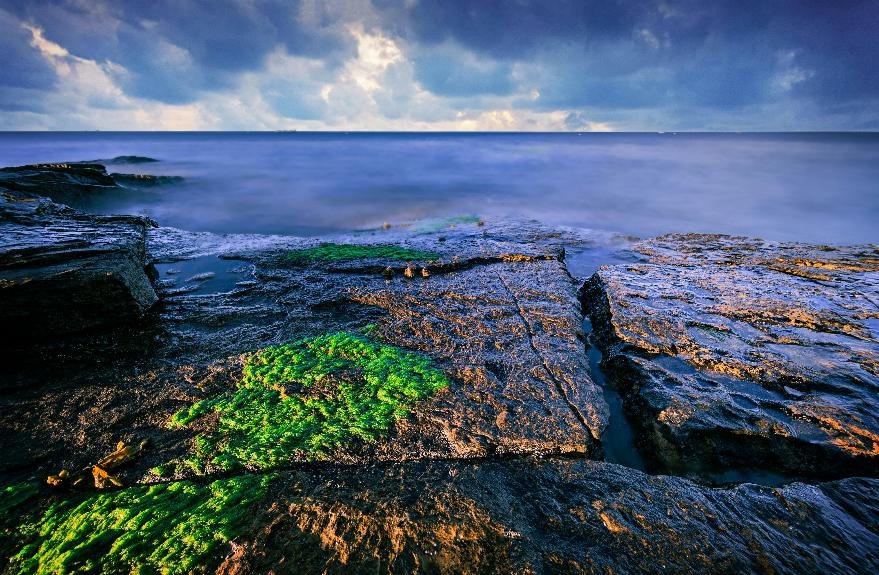 SEA MOSS - JŪROS SAMANOS  - Nauda, Naudojimas, šalutinis poveikis ir dar daugiau