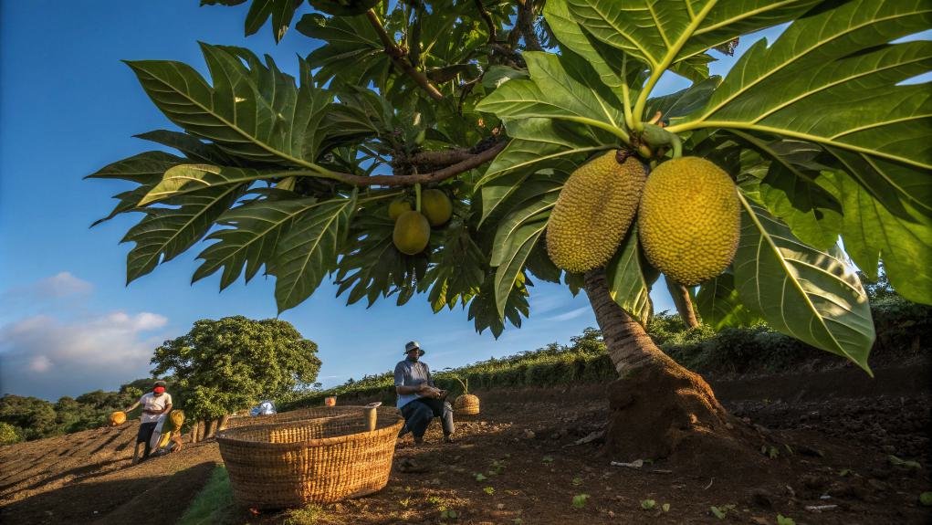 eco friendly food production methods